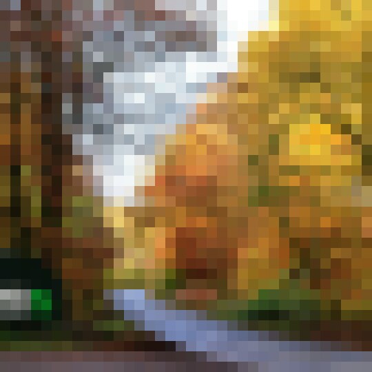 Trees and sign